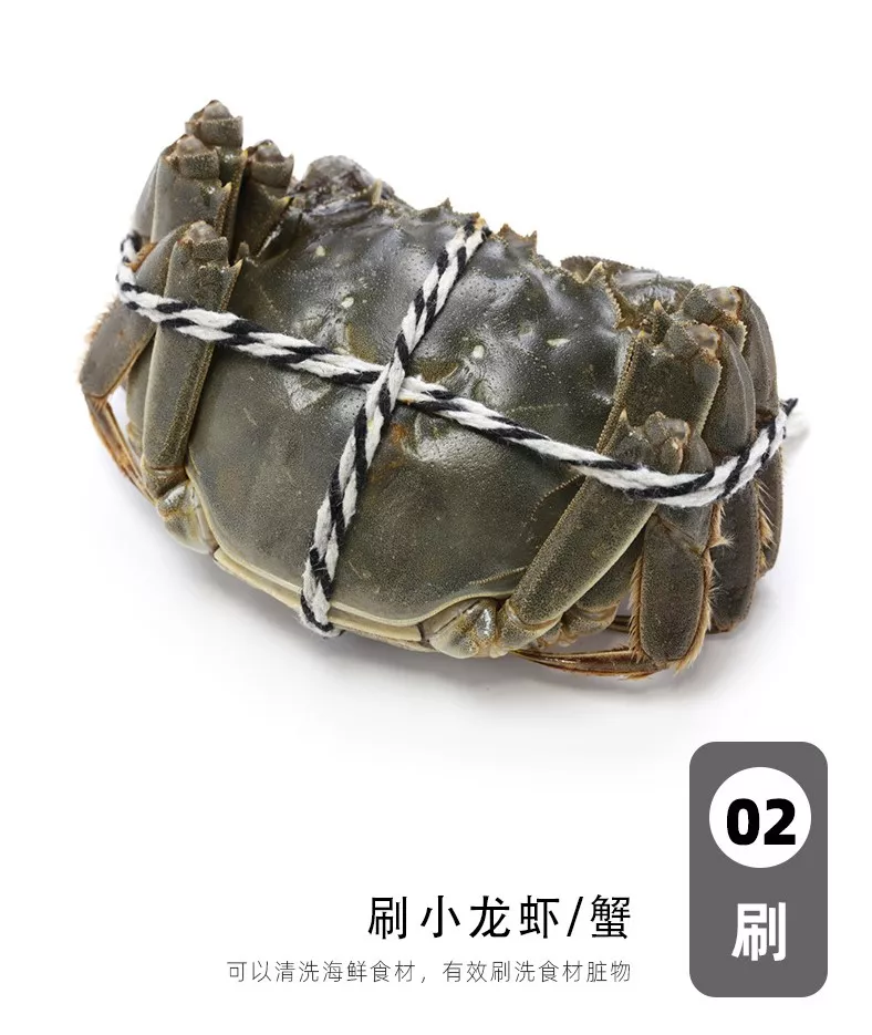 【外銷歐美】多功能不鏽鋼刷 指甲刷 食物刷 小刷子 果皮刷 蔬果刷 清潔刷