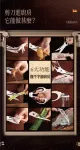 【外銷歐美】SSGP剪刀 磁吸刀套 廚房剪刀 不鏽鋼雞骨剪刀 料理剪刀 多功能剪刀