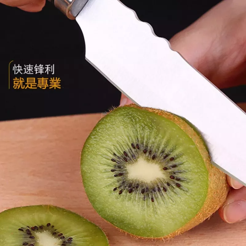 【外銷美國】SSGP304不鏽鋼水果刀 304不鏽鋼小刀 家用削皮刀 多功能削皮刀 