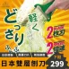 【人氣no.1】日本雙層刨絲刀 2枚刃高麗菜刨絲 洋蔥刨絲 胡蘿蔔刨絲 刨絲器 