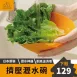 【日本原裝】矽膠瀝水碗 擰乾器 沙拉碗 沙拉濾水器 餡料瀝水器 菜餡擠水器