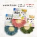 【免洗劑】日本YAMAZAWA花型去油清潔刷 去油刷 廚房清潔刷 菜瓜布